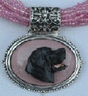 Labrador Retriever, black